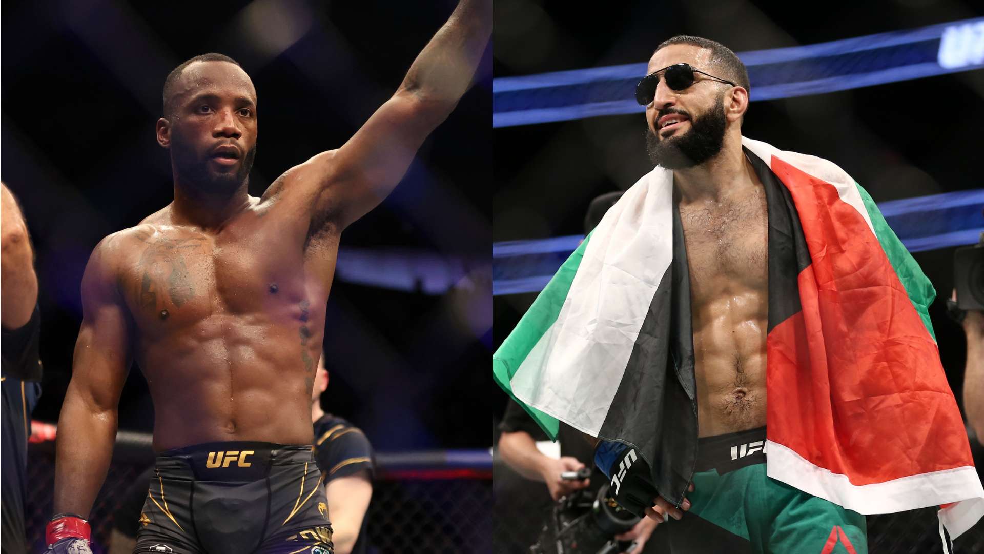 更在于他们 更在于他们